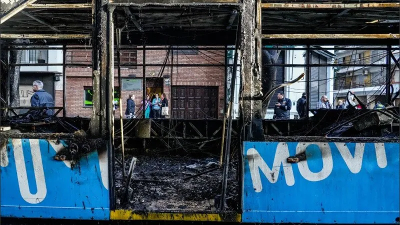 _dsc0068_crop1691181943569.jpg_1756841869