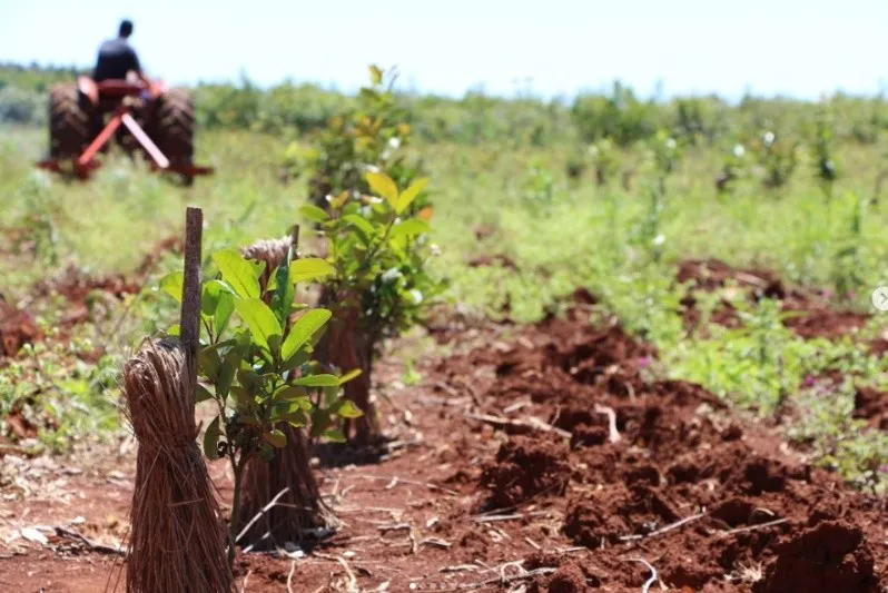 mate_1.jpg_158021514