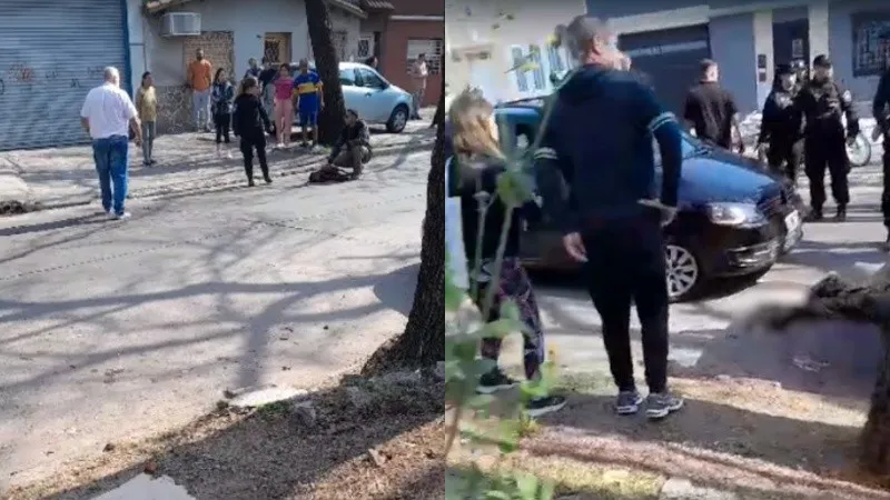 pitbull.jpg_1756841869