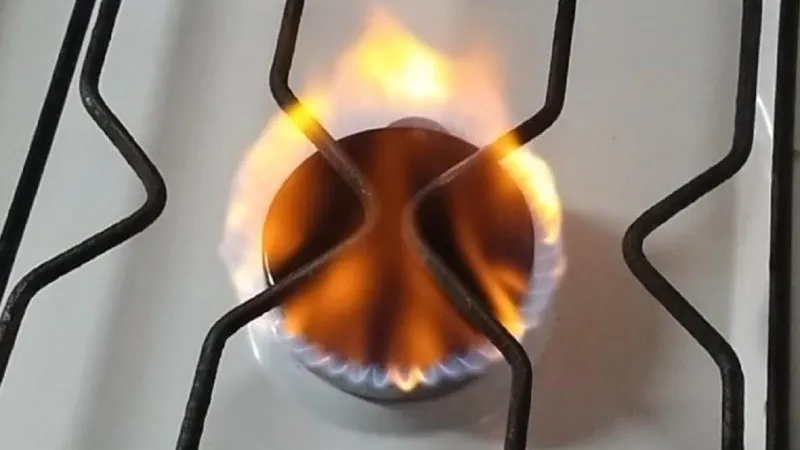 f3toaodxmaejy7k_crop1691846196275.jpeg_1756841869