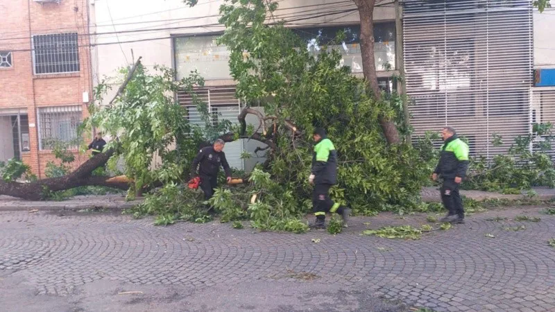 whatsapp_image_2023-11-18_at_09_24_25_x1x_crop1700314012214.jpeg_1756841869