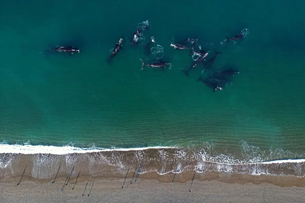 WhatsApp Image 2023-06-14 at 14.09.22