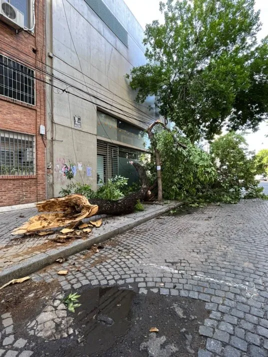 whatsapp_image_2023-11-18_at_09_24_25.jpeg_952377711