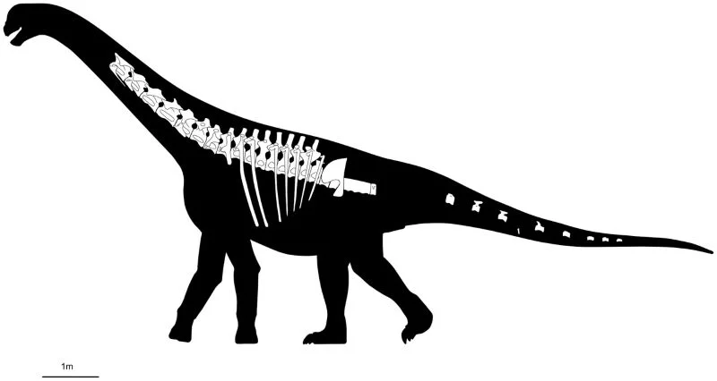 Bicharracosaurus