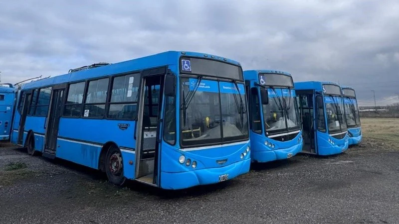 colectivos_subasta