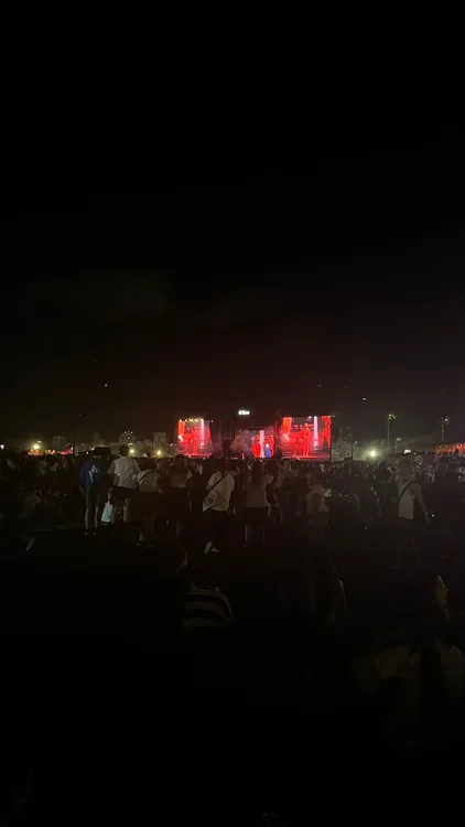 Lollapaloza 1 foto