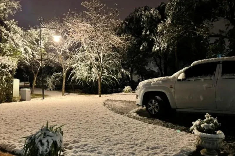 nieve