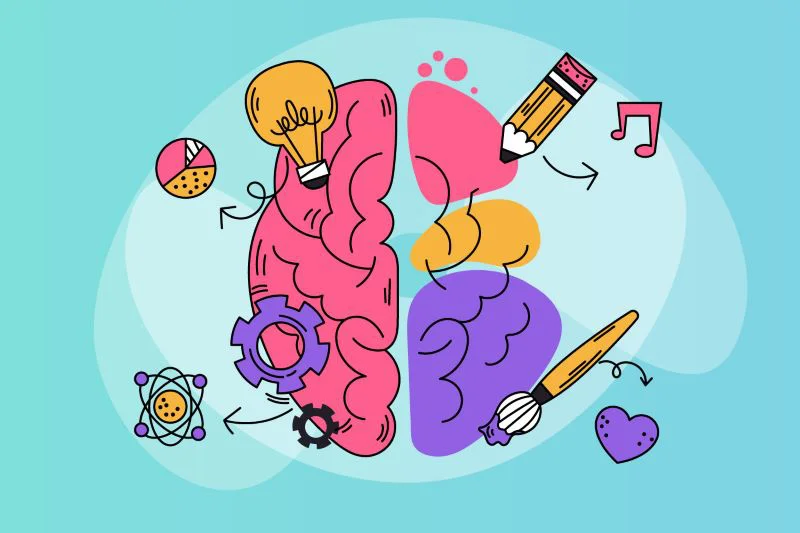 neuroeducacion-aula