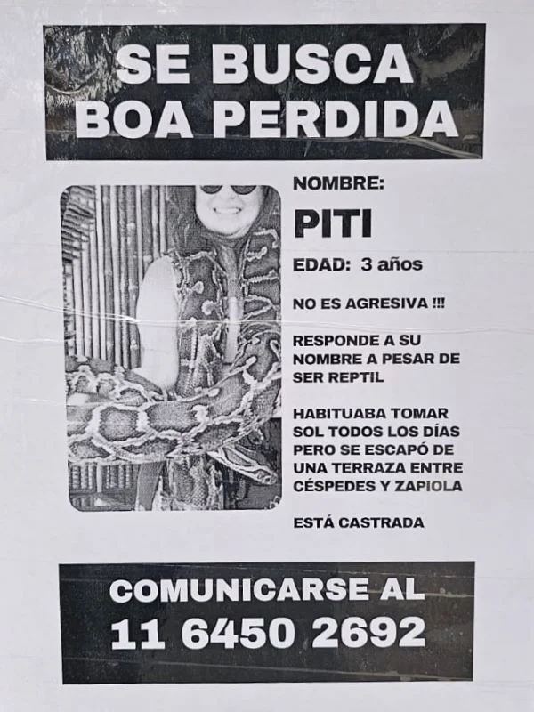 Boa 1