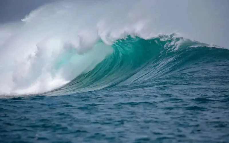 por-que-se-oscurecen-los-oceanos