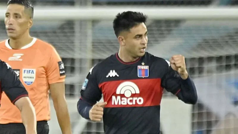 pity-martinez-tigre