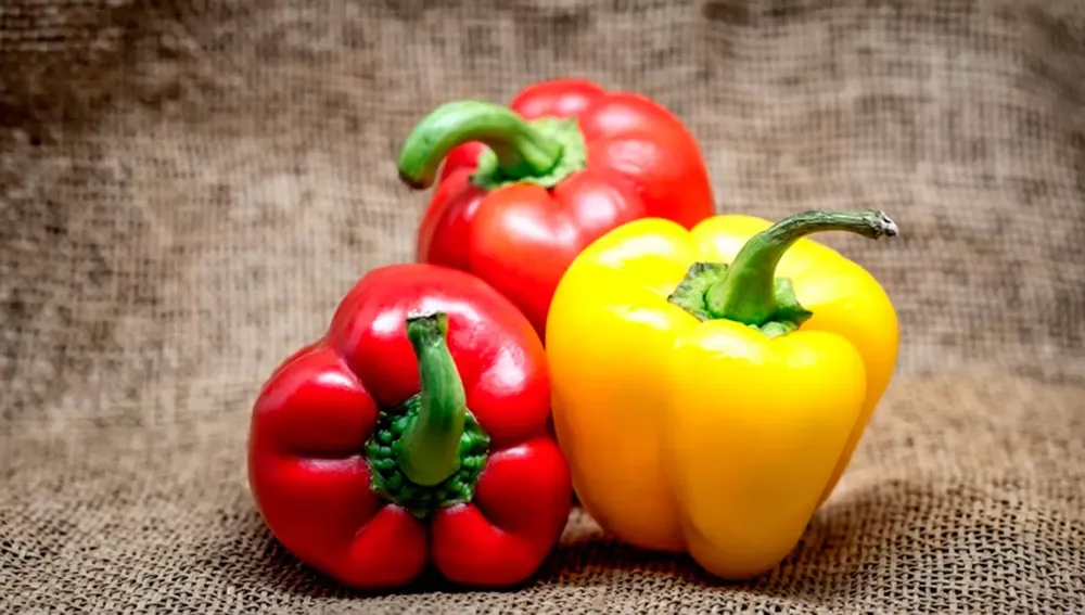 Pimiento