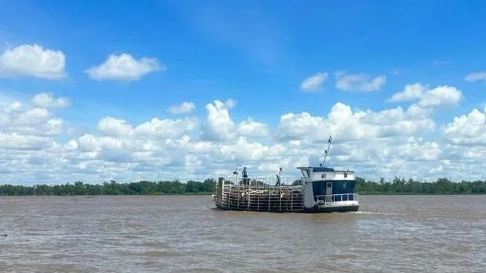 evacuacion ganado