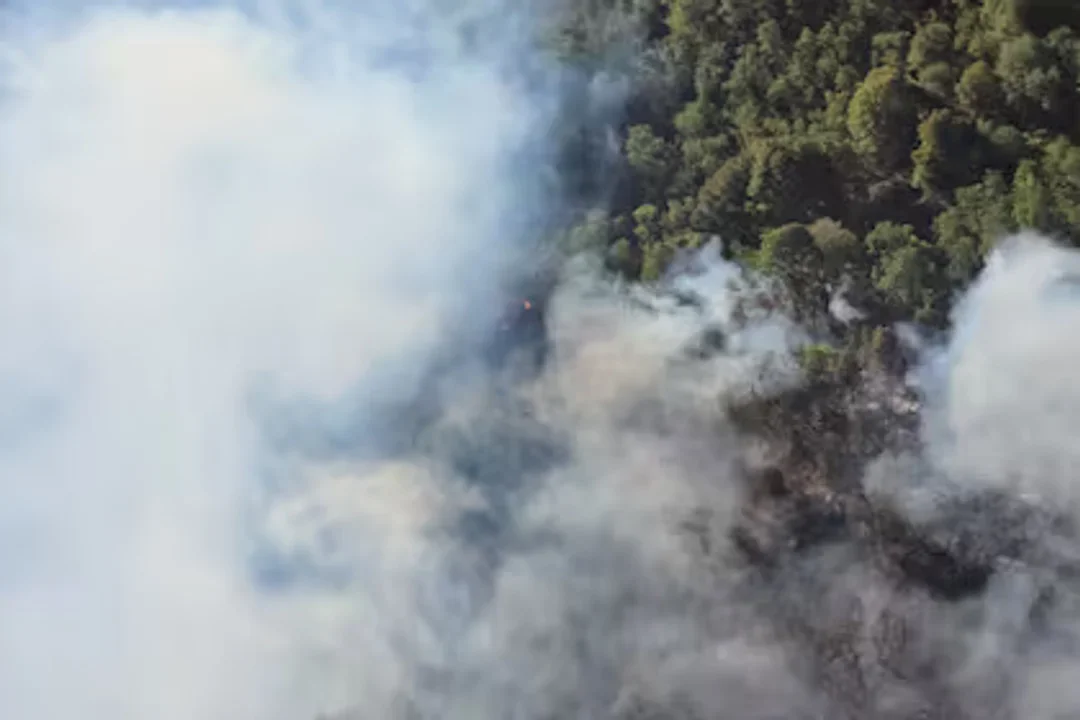 Bariloche Fuego