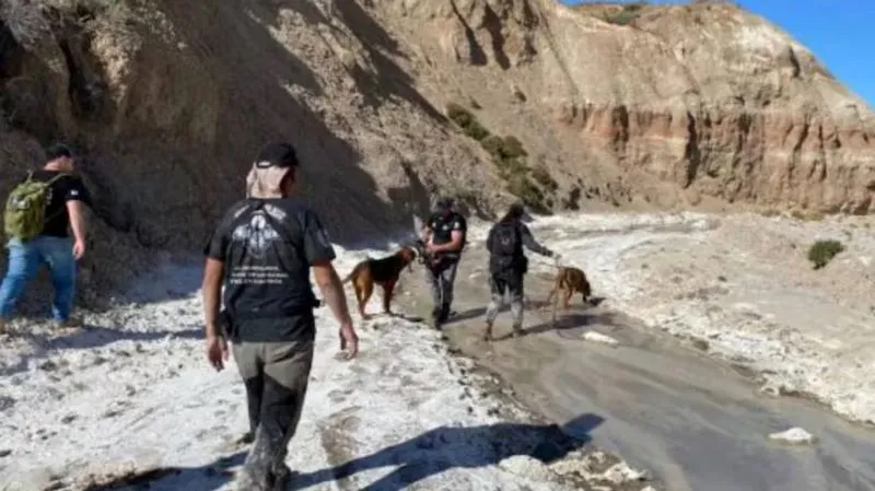 Busqueda Jubilados 2