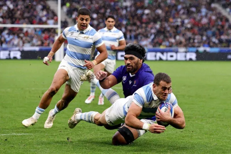 los-pumas-800x533