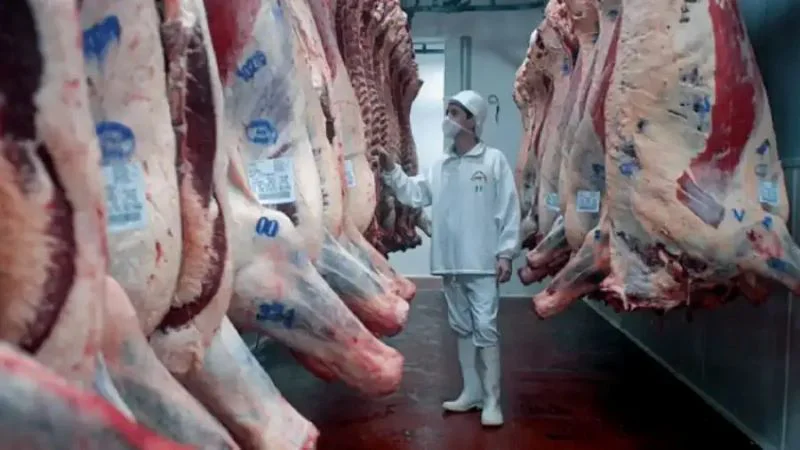 carne-vacuna