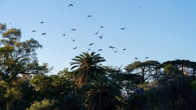 clima.jpg_1756841869