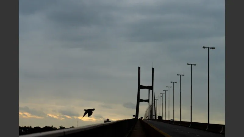 _dsc0169.jpg_1756841869