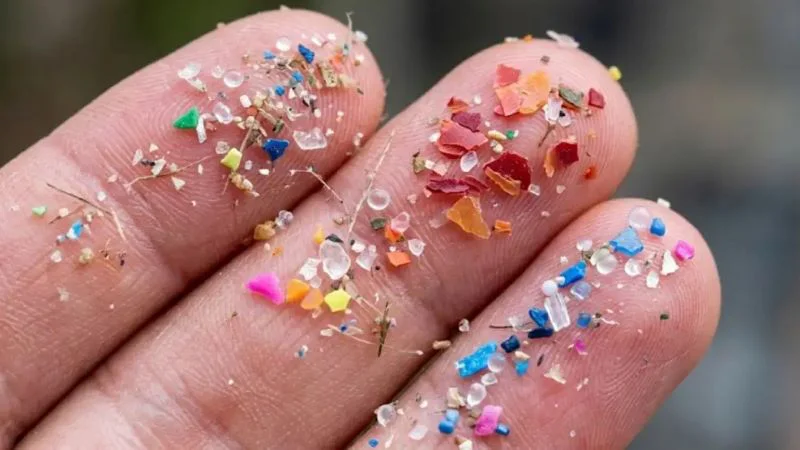 microplasticos-en-antartida