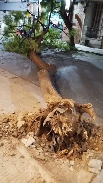 whatsapp_image_2024-06-13_at_07_16_55.jpeg_1210247696