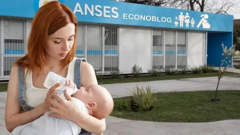 ANSES madre