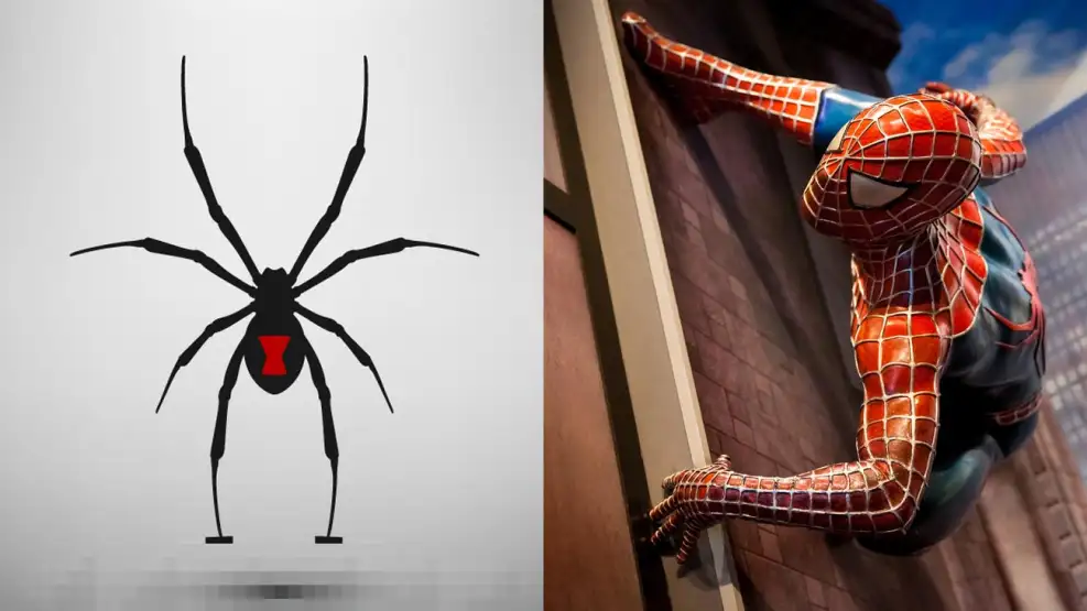 viuda-negra-y-spiderman-1622726