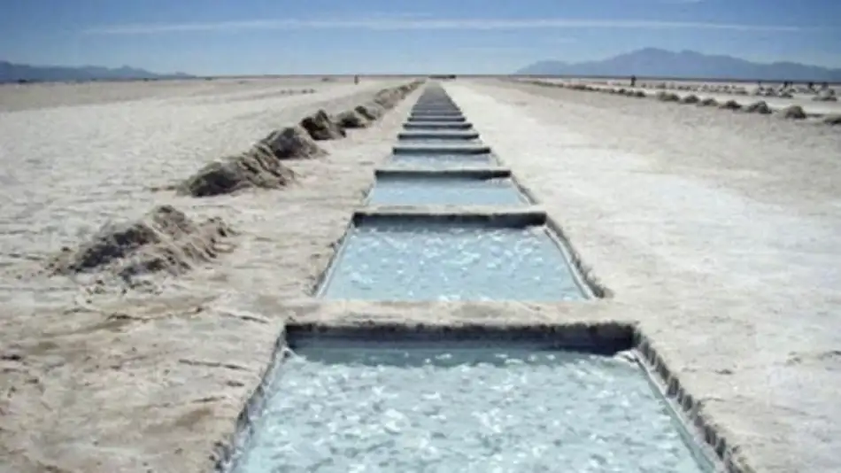 potencial-del-litio-en-el-pais-reservas-abundantes-pero-falta-un-marco-normativo-para-las-inversiones-1574024