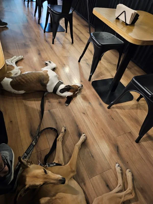 Perros