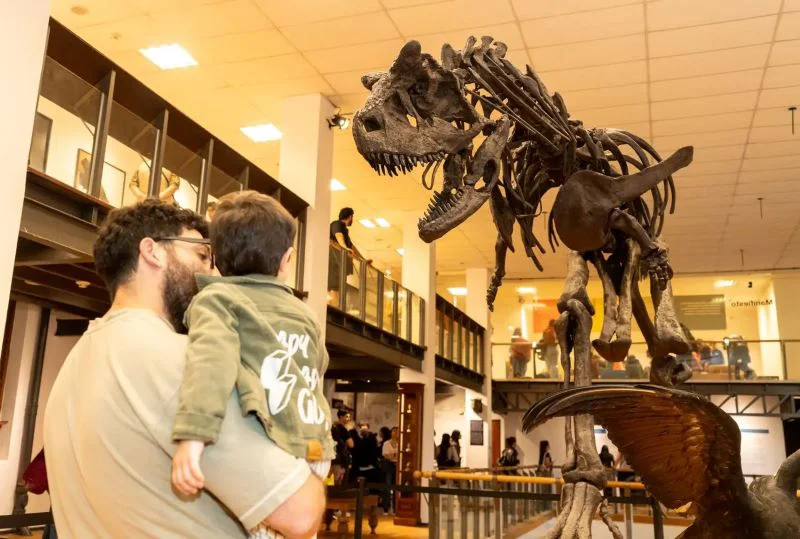 museos