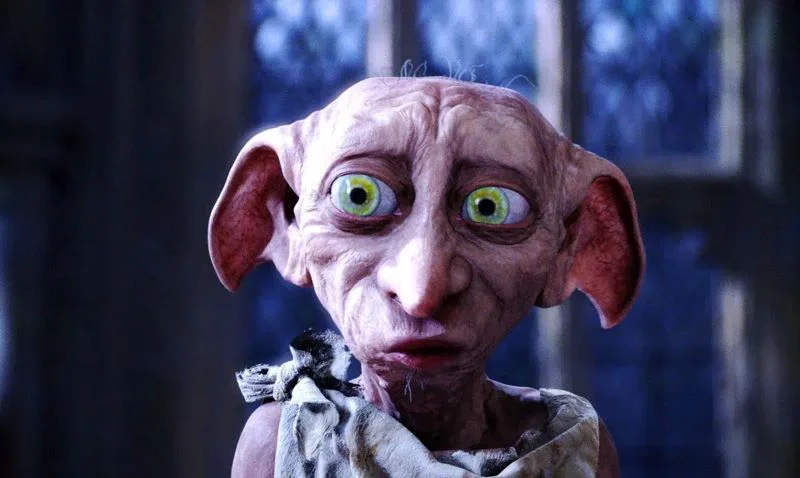 DOBBY