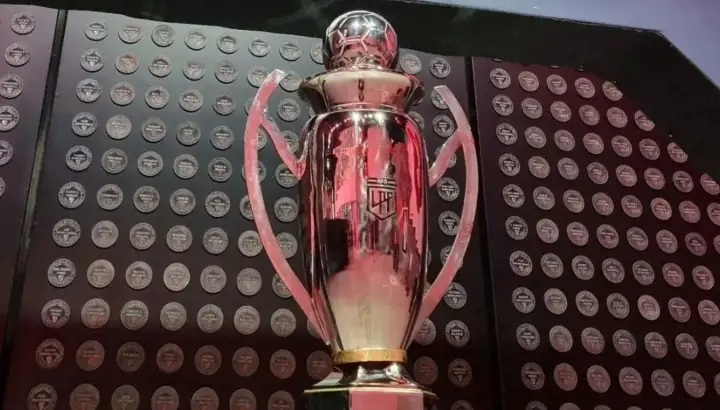 Copa liga profesional