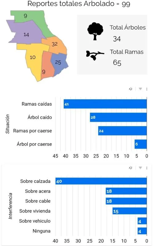 Arboles caidos