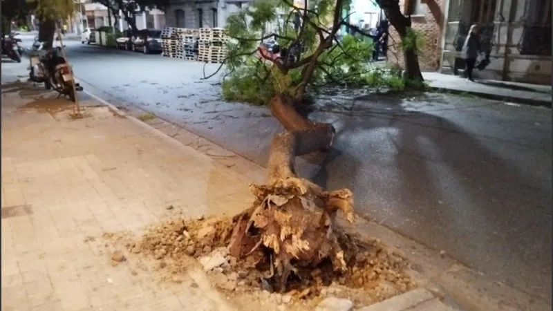 whatsapp_image_2024-06-13_at_07_16_56_crop1718277399702.jpeg_1756841869