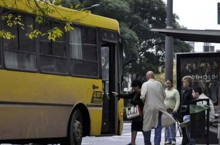 colectivo-1-768x506