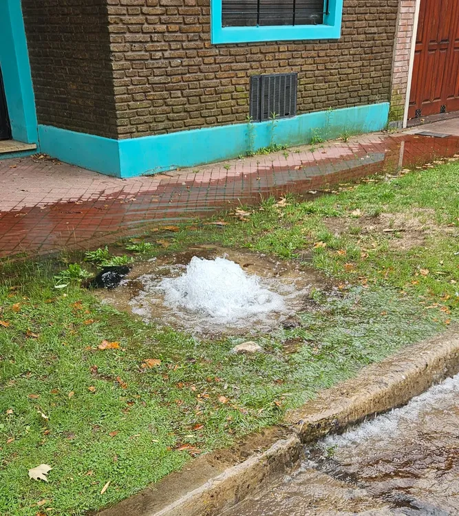 Agua 4