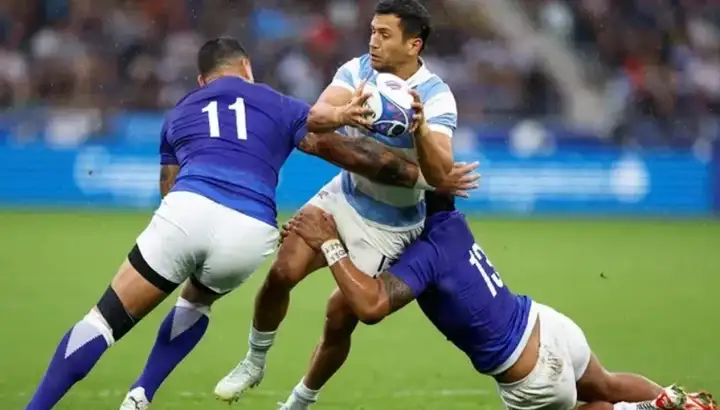 pumas-1659691