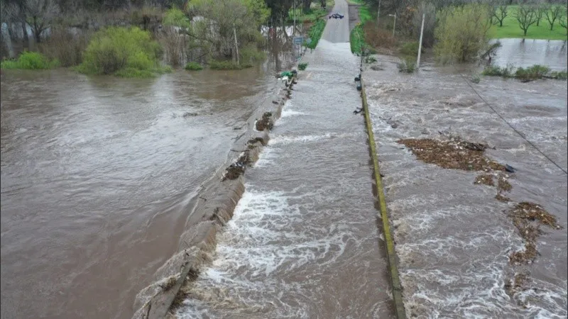 Carcaraña