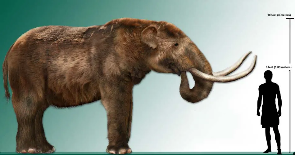 Mastodonte Argentino