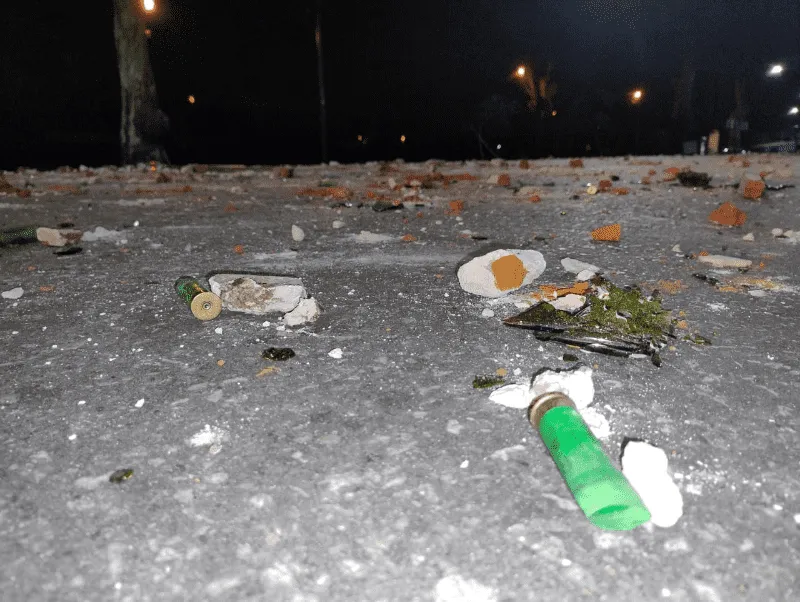 image_1.png_958714221