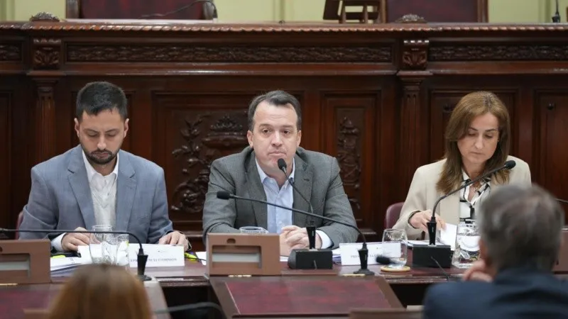 comision redactora reforma