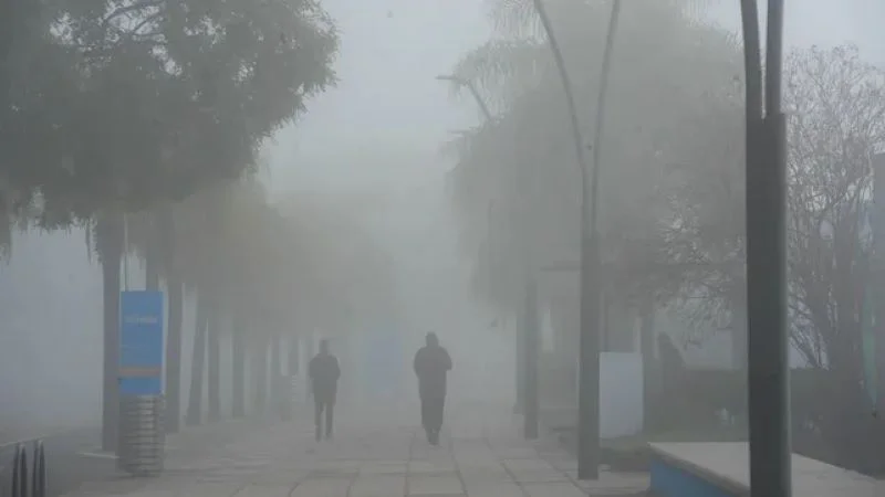 niebla
