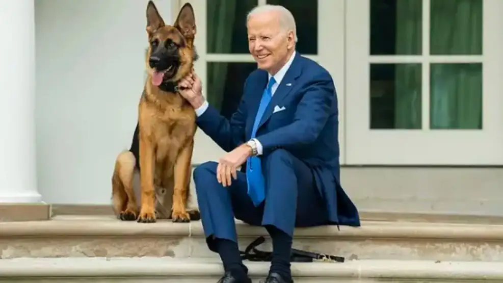 el-perro-de-biden-expulsado-de-la-casa-blanca-el-motivo-1668649