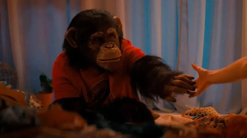 primate