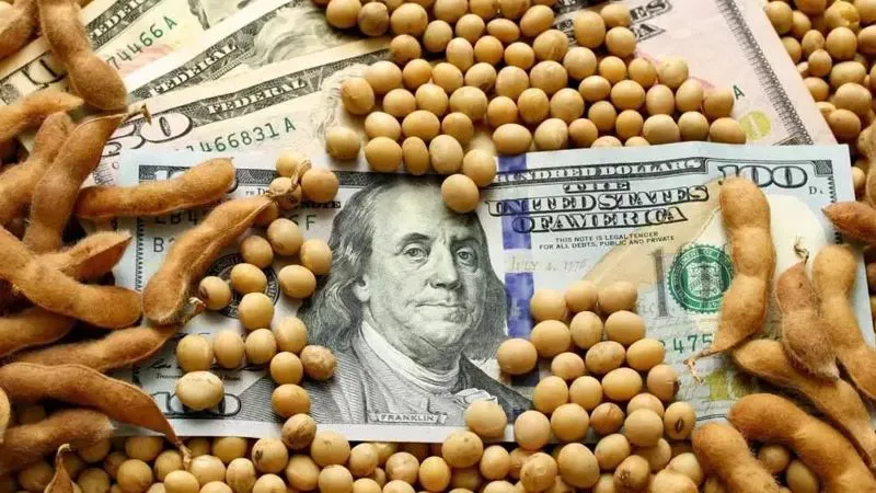 dolar agro