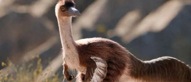 Dinosaurio 1