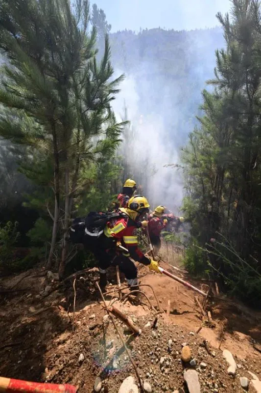 Incendios Forestales