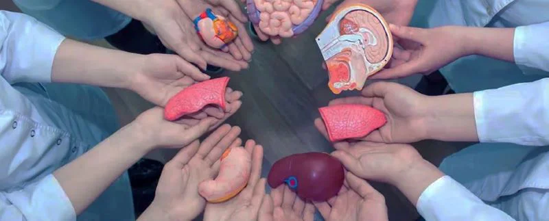 Donacion de Organos