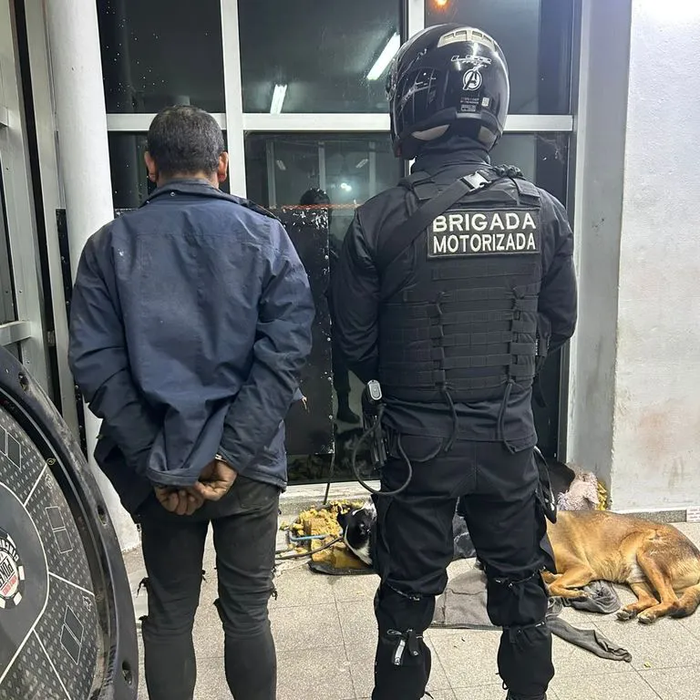 Detenido