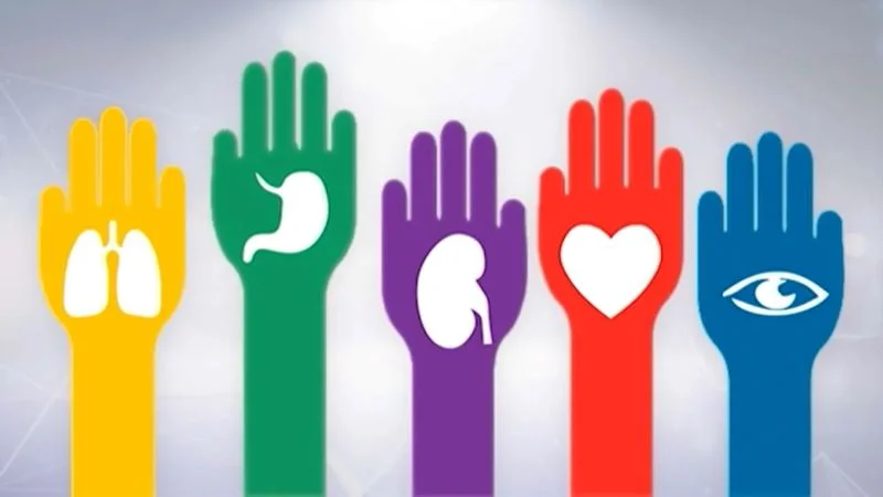 Trasplante de Organos